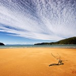 2006-03-03---Driftwood-on-Abel-Tasman-Beach