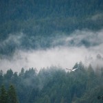 2012-01-08---Seagull-Flying-Towards-Somewhere-Nice